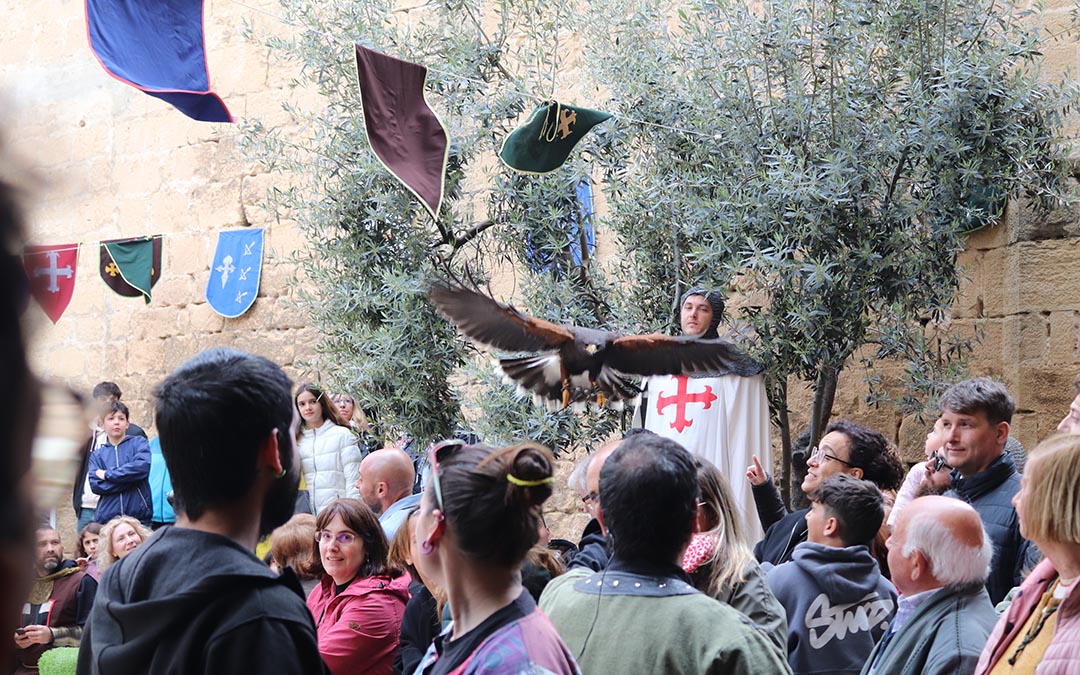 Demostración de vuelo de aves en Belmonte de San José./A.S.