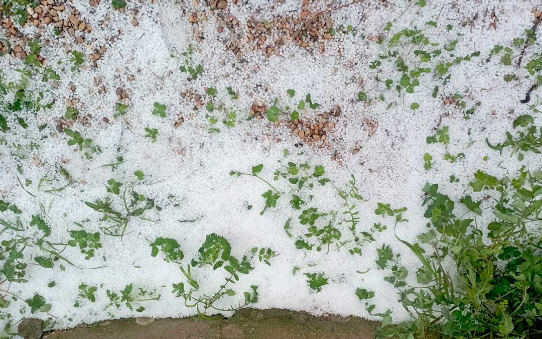 Granizada en Mas de las Matas./ Lucía Aguilar.