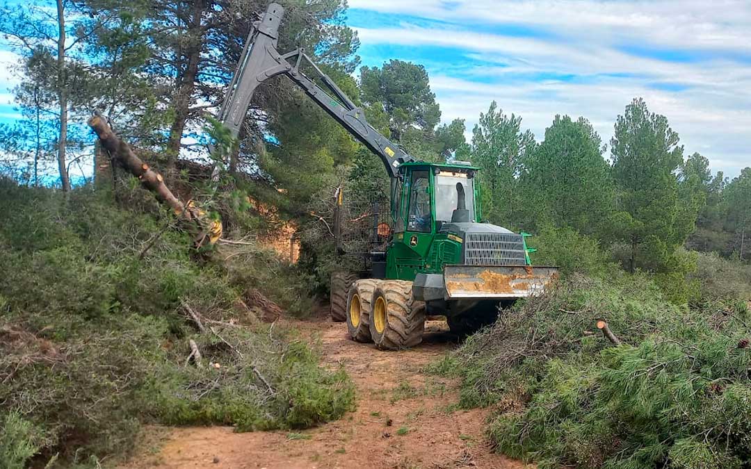 Un autocargador trabajando en monte publico de Mazaleón / La COMARCA
