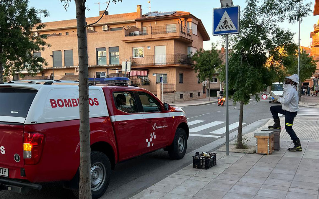 Los Bomberos de la Diputación de Teruel atienden, entre otros servicios, la retirada de colmenas de abejas. / DPT