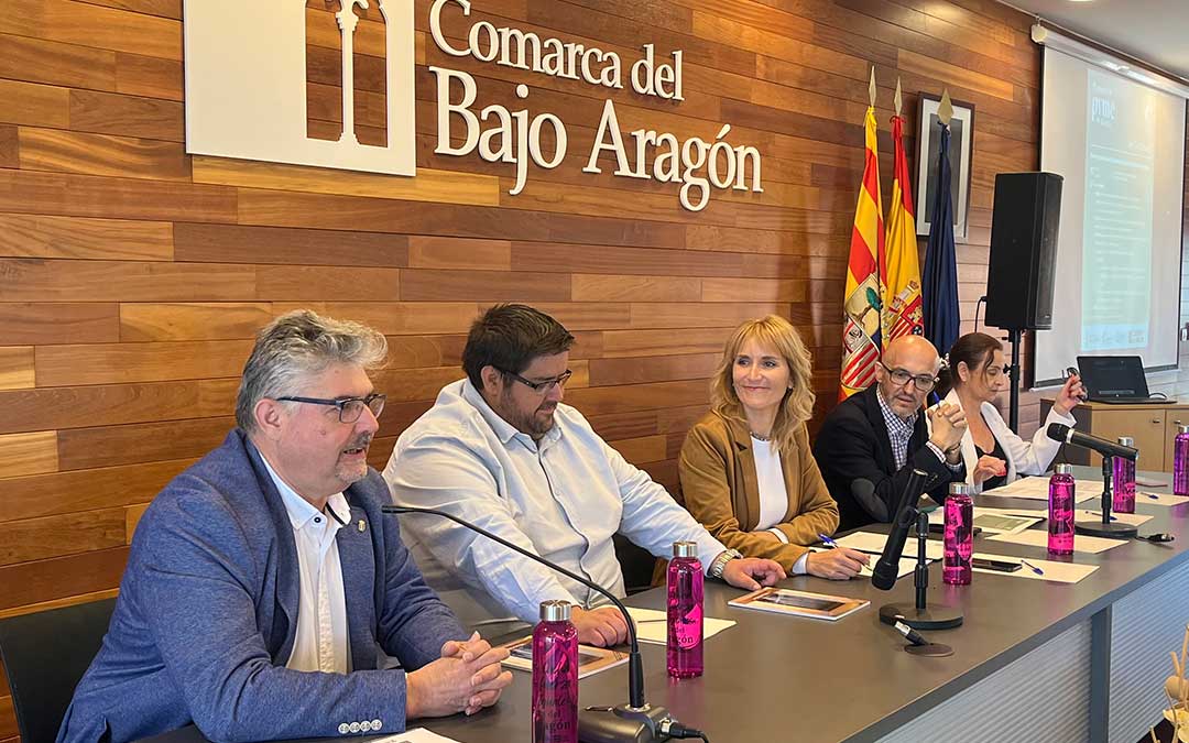 Instante de la charla de este martes en Alcañiz dentro de la 2ª Semana Pyme./ C.O.