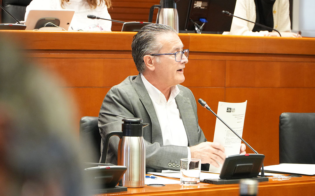 El Director General de Mayores ha comparecido este martes en la comisión de Bienestar Social y Familia de las Cortes./ DGA