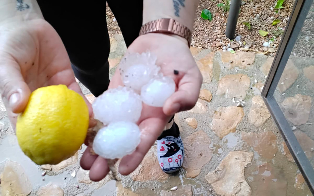 Granizada en Cretas, donde las piedras han arrasado lunas de coche, cultivos y tejados de naves. / L.C