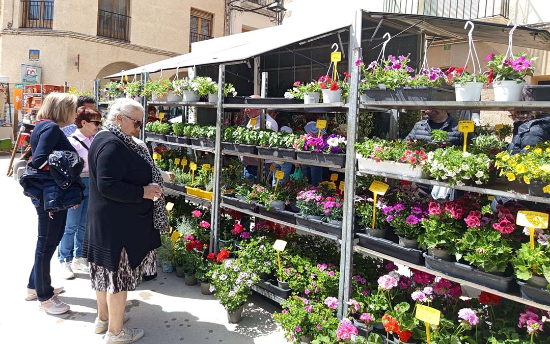 X Feria del Huerto y el Jardín de La Portellada, con sus coloridos stands de flores, plantas y planteles./M.J. Salvador