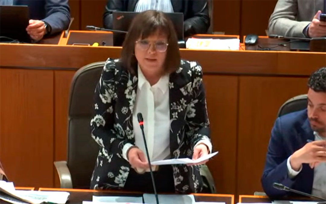 La diputada Mari Carmen Soler, durante el pleno de las Cortes./ PSOE