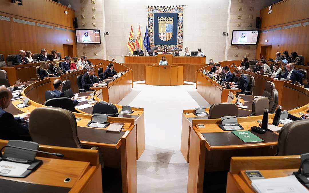 Panorámica del pleno de este viernes en las Cortes de Aragón./ DGA.