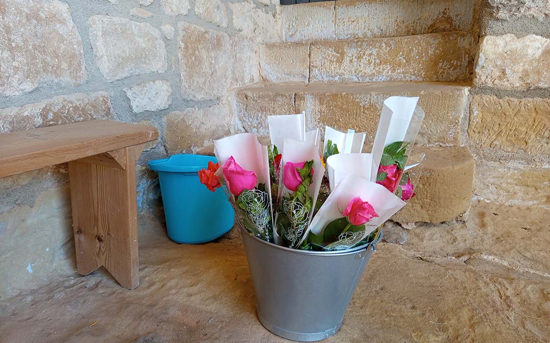 Rosas en la ermita./M.J. Salvador