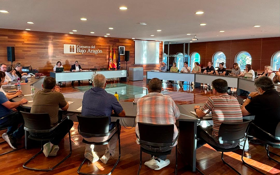 Imagen del pleno comarcal del Bajo Aragón del mes de mayo./ M.M.R