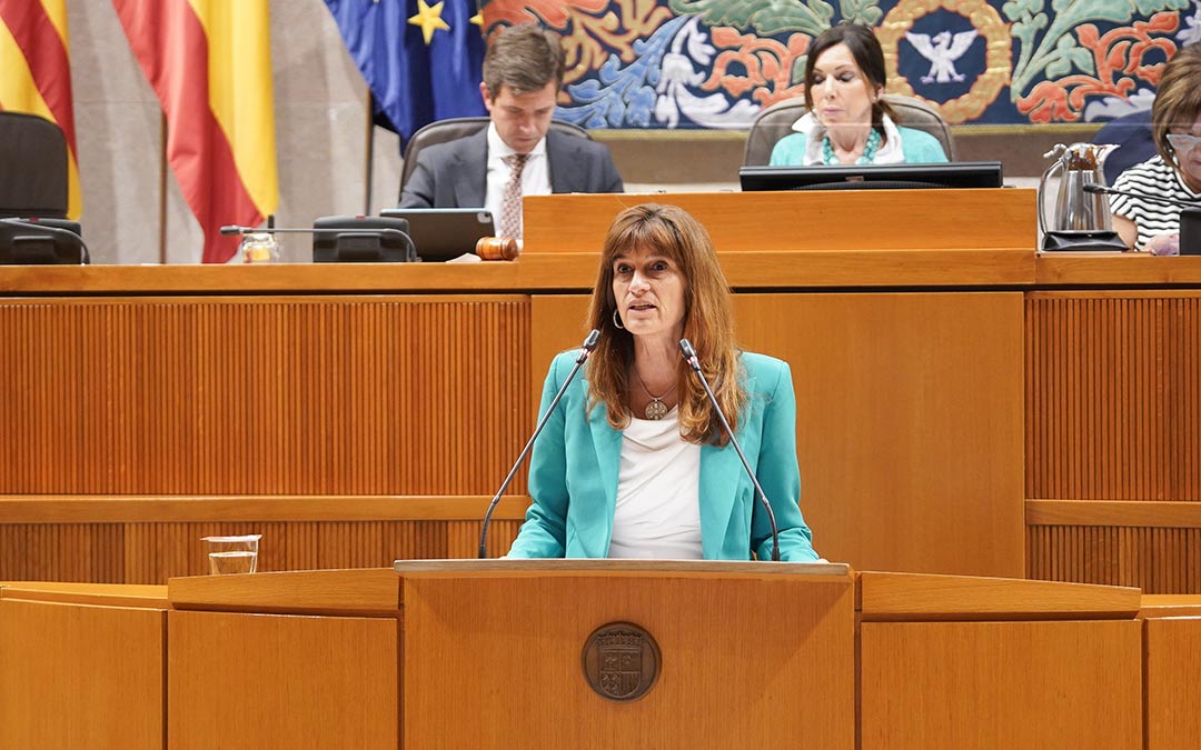 La diputada socialista Carmen Dueso durante la defensa de la PNL./ CORTES ARAGON