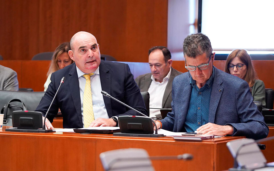 Los diputados del PP Juan Carlos Gracia Suso y Antonio Romero./ Cortes de Aragón