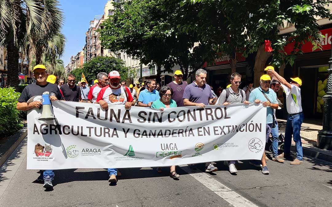 La manifestación ha partido de las puertas de la sede del Gobierno de Aragón para recorrer el centro de la capital aragonesa y terminar ante la Delegación del Gobierno en Aragón./ UAGA.