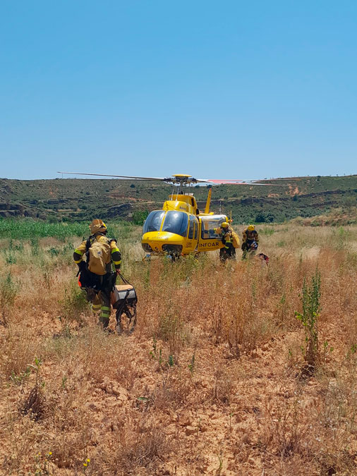 Se ha declarado el incendio sobre las 13.40, cerca de Albalate del Arzobispo./ Infoar