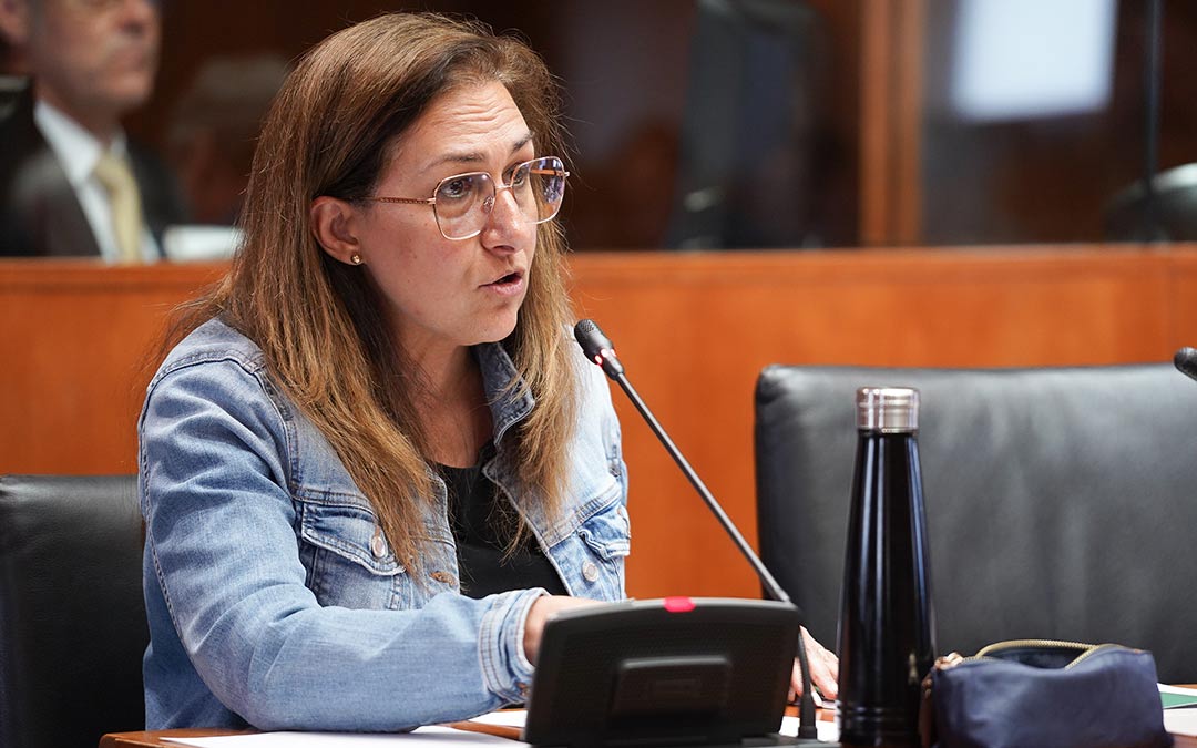 Pilar Buj (Teruel Existe) durante la defensa del la PNL./ TE