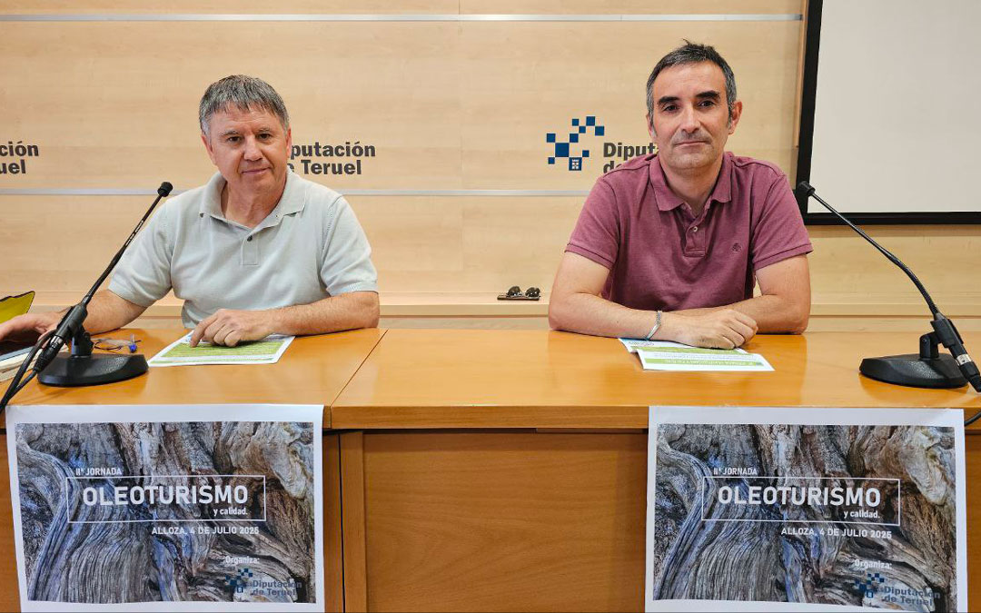 Ciprés y Sánchez durante la ruefa de prensa de presentación de la jornada de la Diputación./ DPT