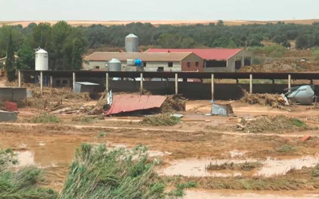 La subida del río arrasó por completo la explotación./ Alberto Gracia.