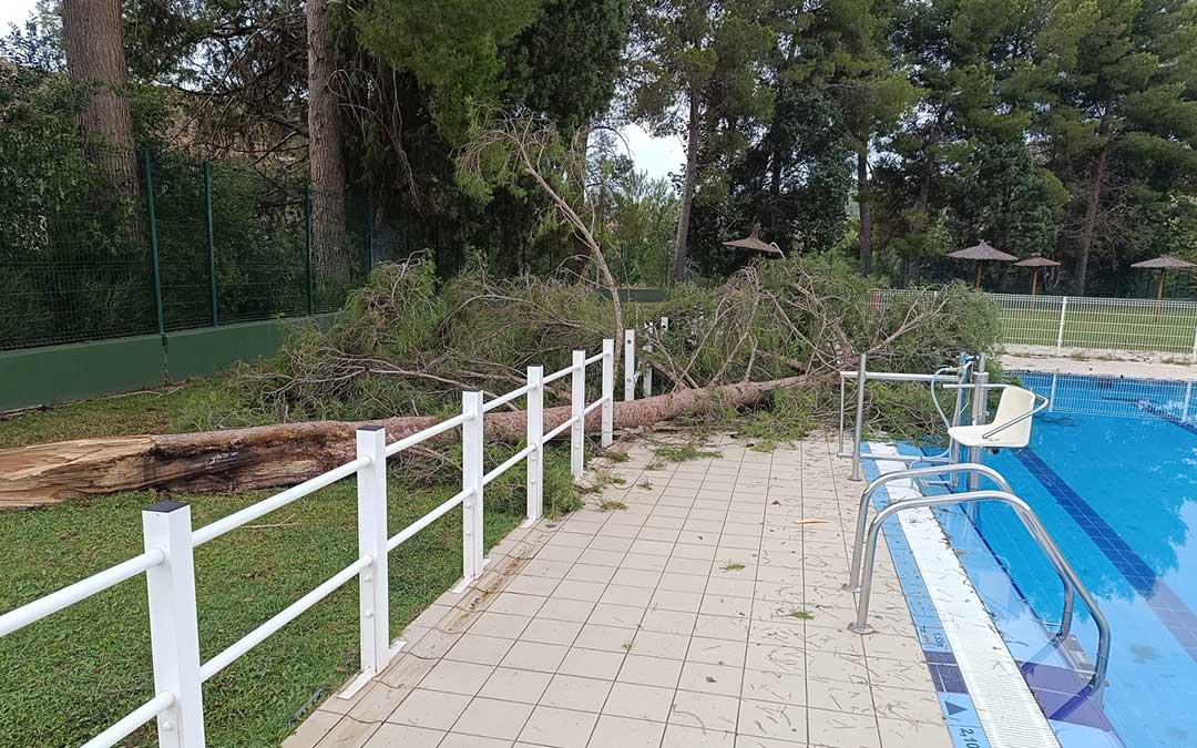 Árbol caído en las piscinas de Alcañiz, que han quedado cerradas hasta nuevo aviso. / Ayto. Alcañiz