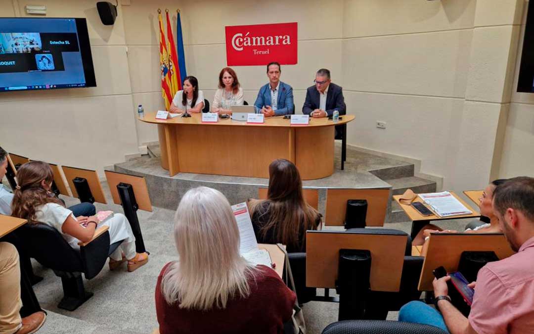 Presentación de las ayudas este miércoles en la Cámara de Comercio de Teruel./ DGA.