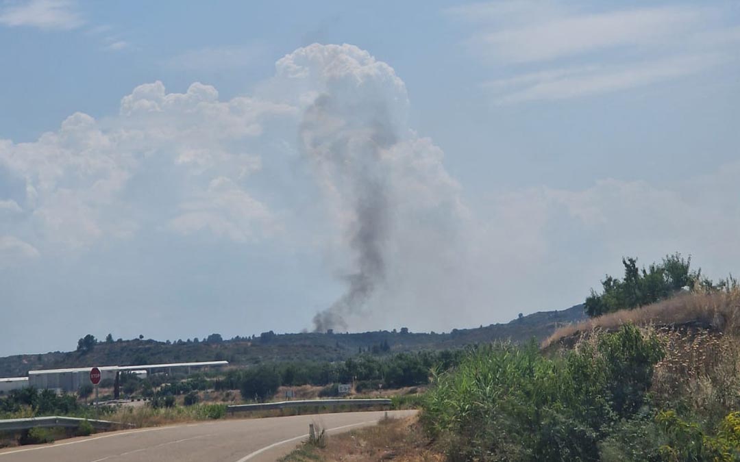 La columna de humo del incendio se veía desde el pueblo./ INFOAR