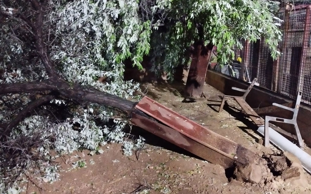Destrozos que causo la tormenta en un parque de la localidad./ DPT