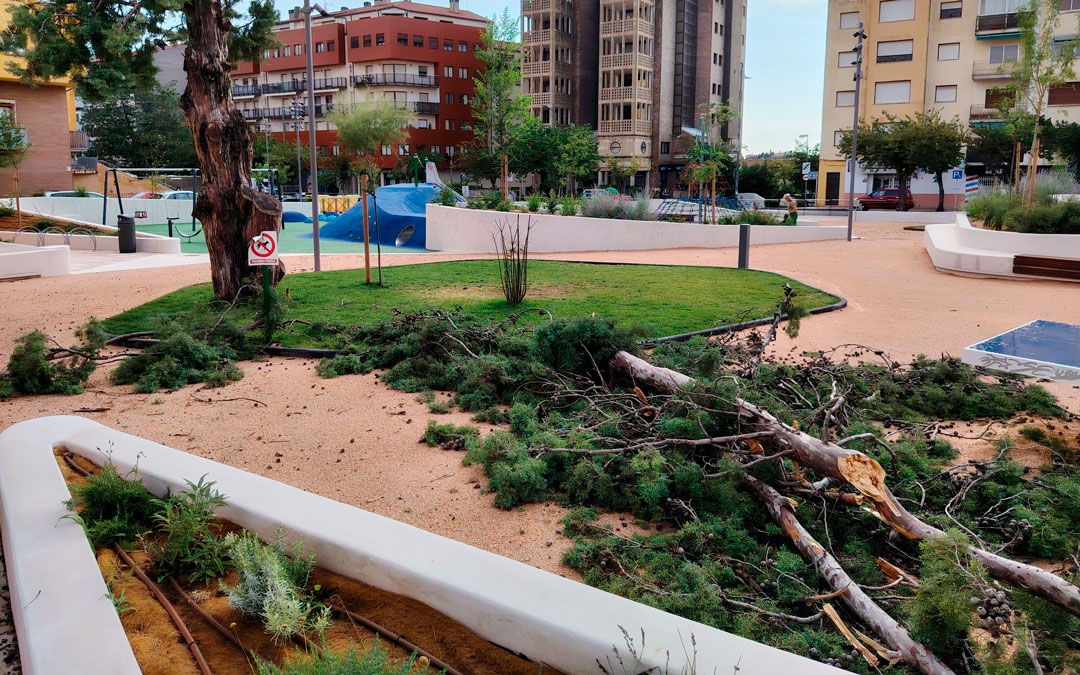 Una rama caída en el parque infantil de la avenida Aragón./ A.G.