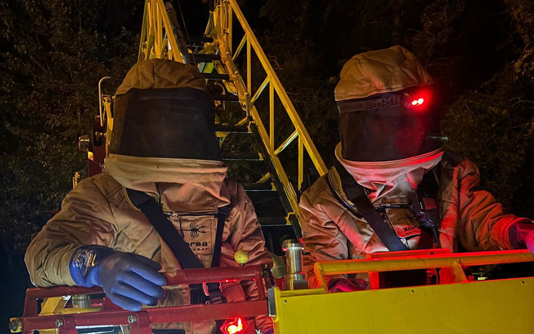 Los Bomberos procedieron a la retirada del avispero equipados con alta protección. Es la primera operación así que realizan en la provincia. / DPT