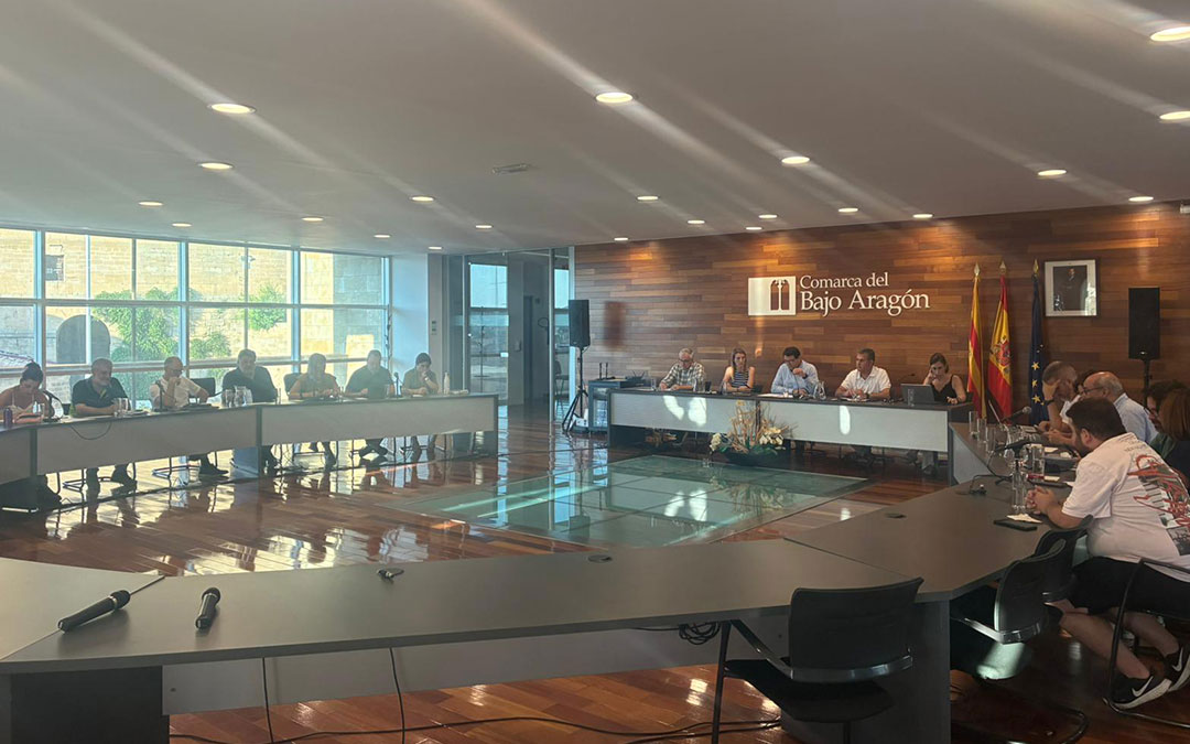 Instantes del pleno de julio. / Ayuntamiento de Alcañiz