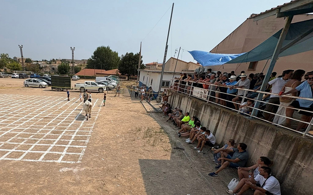 Lleno para ver el juego. / Juan Luis Camps