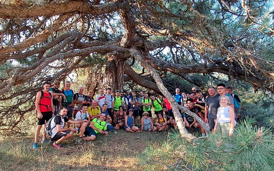Medio centenar de peñarroginos recorrieron a pie los 27 kilómetros que les separan de Vallibona en agosto en 'l'Anunci' de la rogativa de 2026 / Vinaròs News