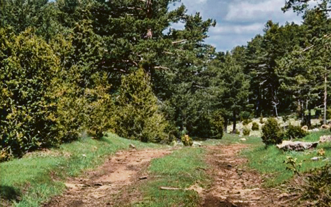 Pista de tierra circular en el entorno de la denominada Muela Monchén / Comarca Maestrazgo
