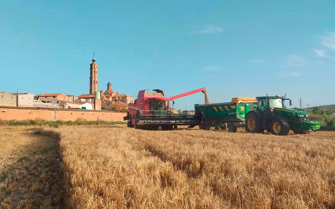 El joven agricultor de Muniesa Raúl Blasco cosechando en uno de sus campos / R.B.