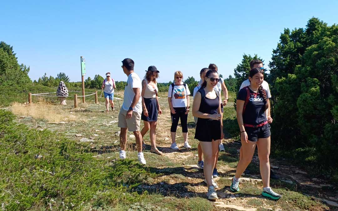 Turistas en 'La senda de las setas', ejecutada en Villarroya de los Pinares a través del Plan de Sostenibilidad en el Maestrazgo./ C.M.