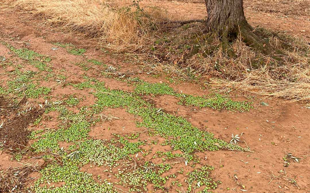Afecciones de la tormenta en Valjunquera