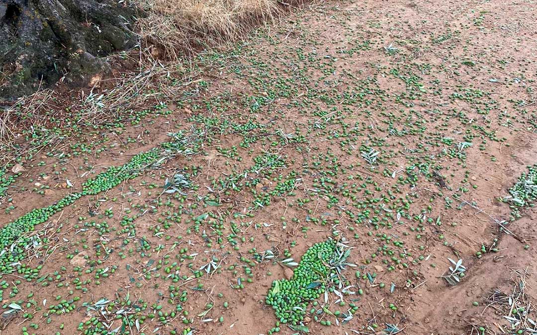 Afecciones de la tormenta en Valjunquera