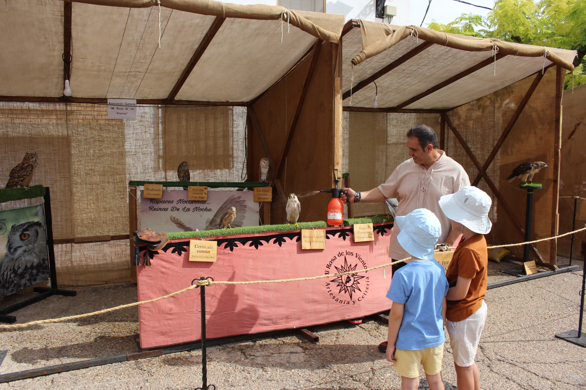 Aves rapaces en la feria Sedeisken / L. Castel