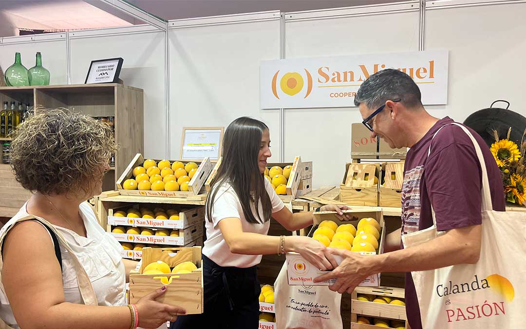 Venta de melocotones en la Feria de San Miguel de Calanda 2025./ C.O.