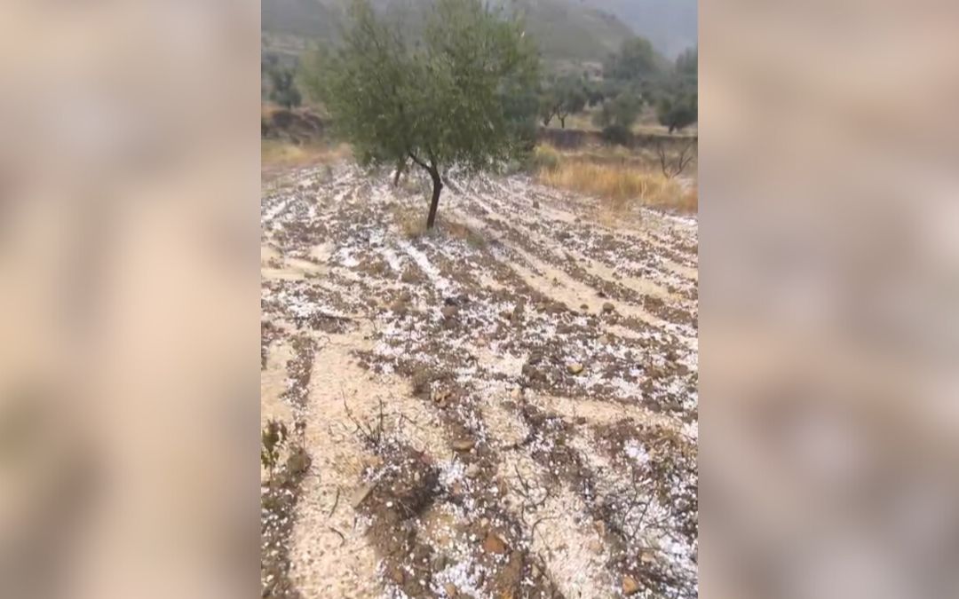 Impacto del granizo en Castellote./ L.C.