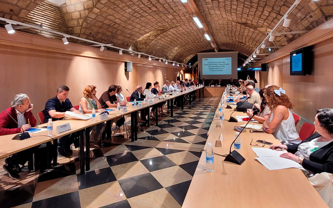 La reunión del Observatorio se ha celebrado en la Sala Hermanos Bayeu del Edificio Pignatelli./ DGA