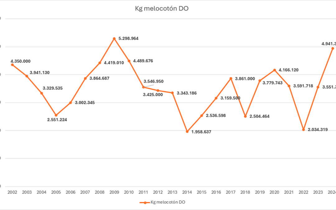 Mapa de evolución de los kilos de melocotón de Denominación de Origen desde que se empezó a producir desde los años 2000 hasta 2024. El primer año se registraron más de 4,3 millones y en el último (2024) la cifra rozó los cinco millones de kilos. / D.O.P