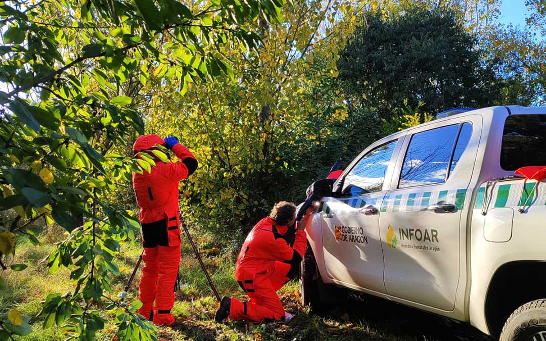 Los APN equipados y disparando proyectiles con veneno al nido de avispa asiática en Alcorisa. / APN Aragón