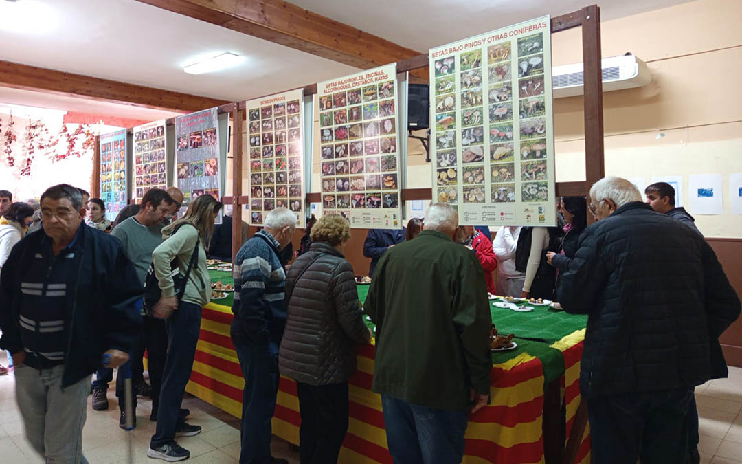 Exposición micológica en El Palau de Beceite, con gran afluencia de público./M.J. Salvador