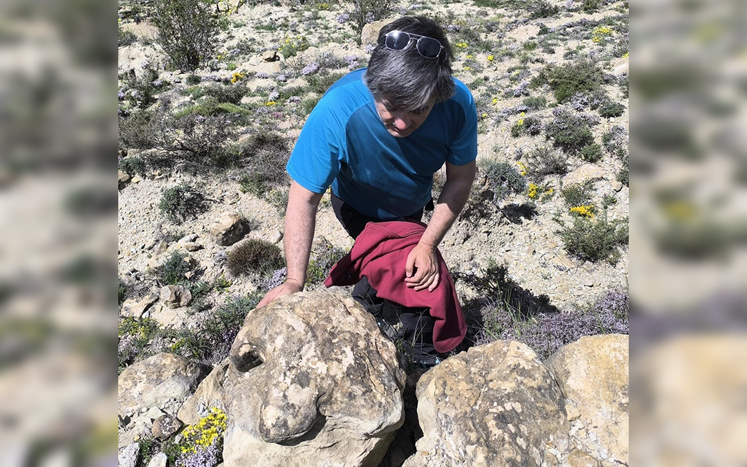 Una de las nuevas icnitas tridáctilas de un gran dinosaurio en Allepuz / Dinópolis