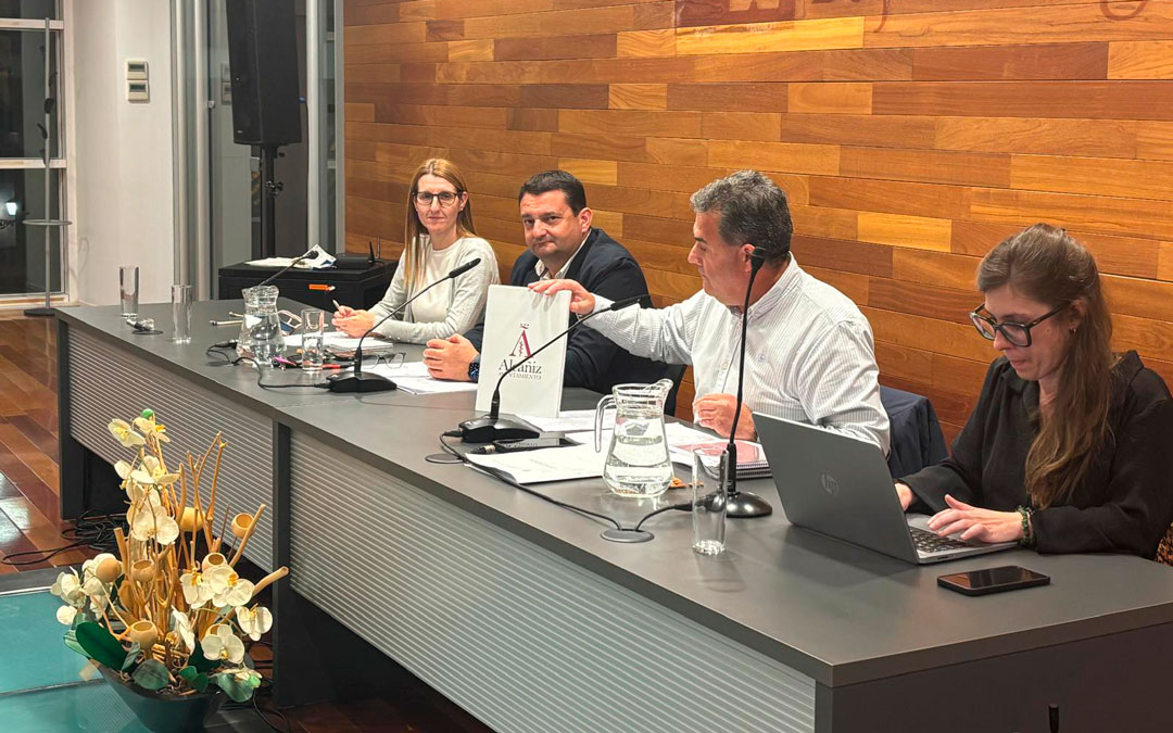 Momento de la presentación durante el pleno de este lunes./ M.M.R.