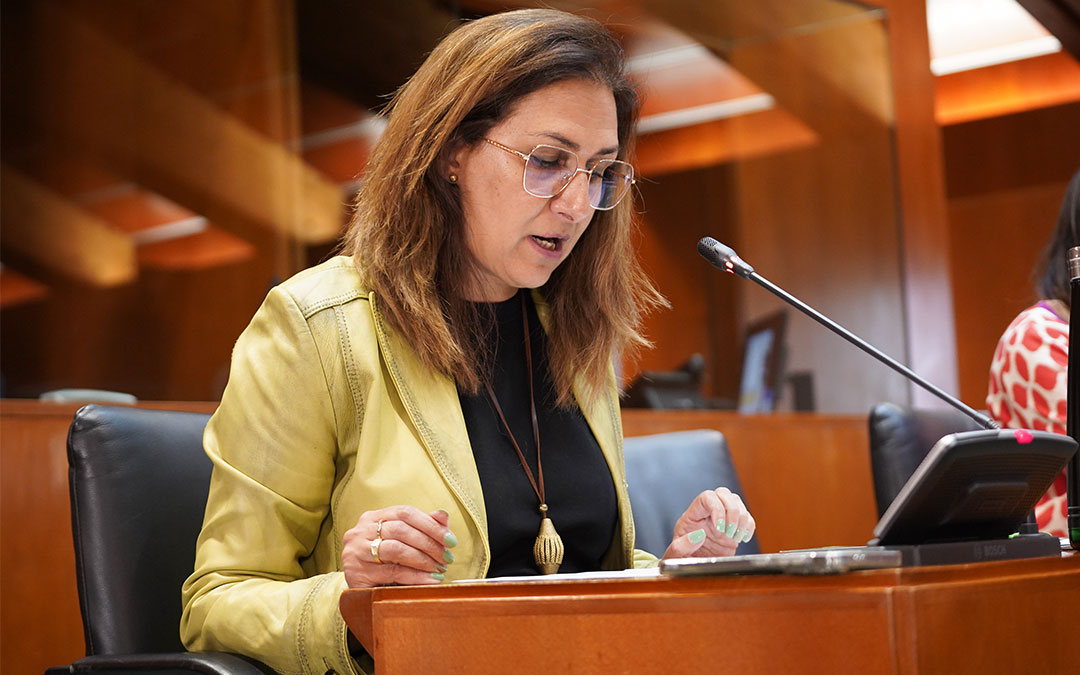 La diputada Pilar Buj ha defendido la iniciativa en la Comisión de Educación, Cultura y Deporte celebrada esta tarde. / TE