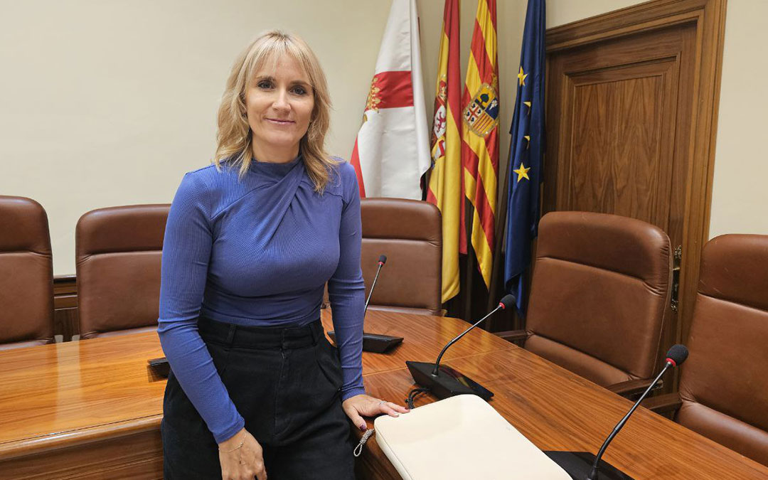 Beatriz Redón, diputada delegada de Bienestar Social. / DPT