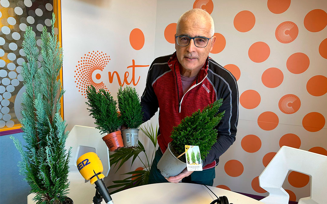 Javier Carela, experto de Agrojardín./ Mario Jiménez