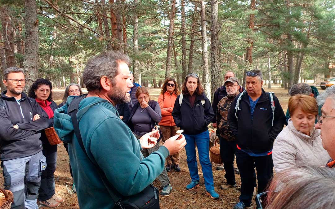 La cita divulgativa reunió en Villarroya de los Pinares a una treintena de participantes interesados en conocer la riqueza micológica del Maestrazgo / C.M.