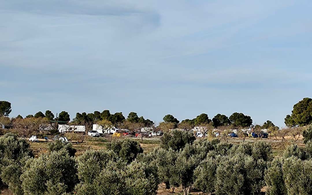 Despliegue de caravanas y coches de la rave entre olivos./ L.C.
