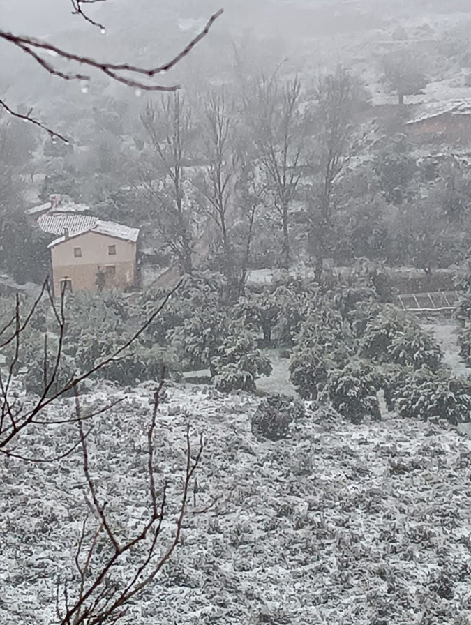 Imágenes de la nevada desde Crivillén./ Gente de Crivillén