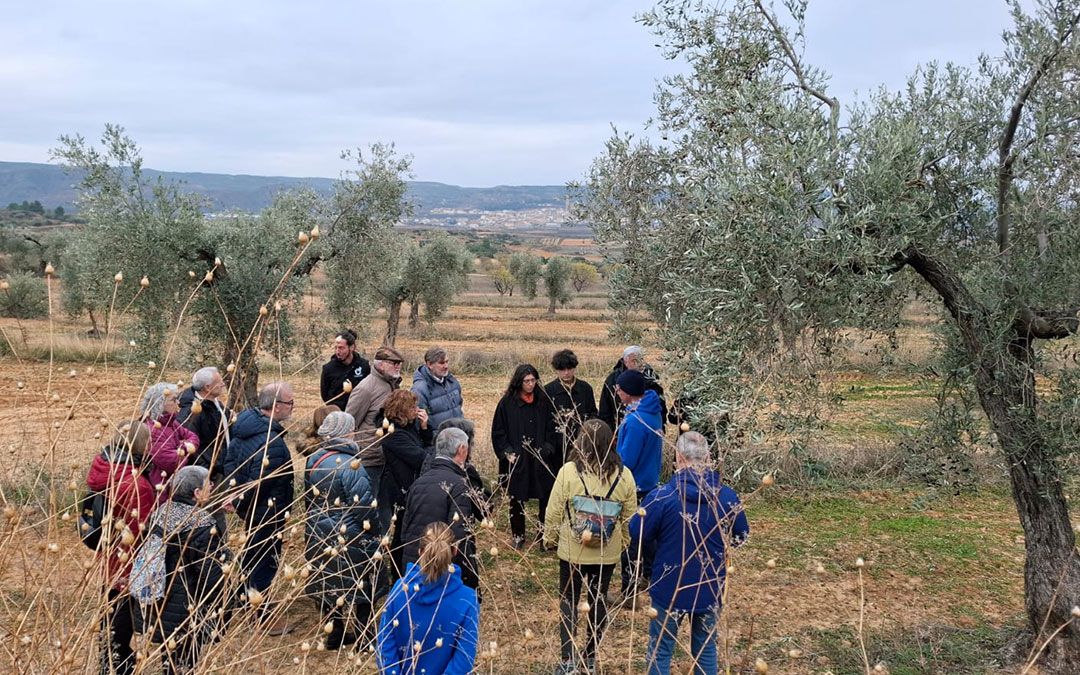 Instantes de la jornada de oleoturismo y gastroturismo. / B.S.