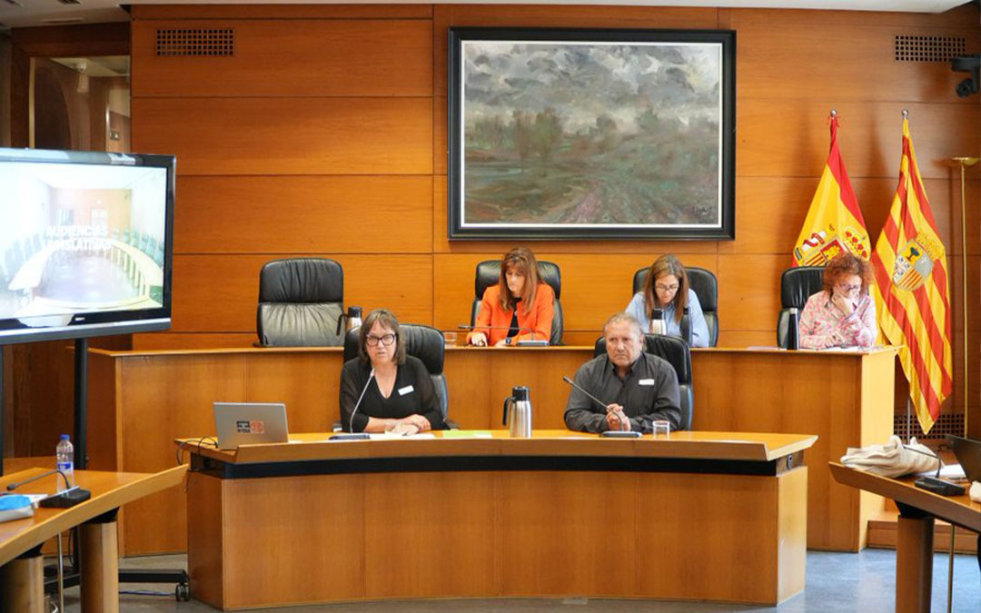 Pilar Pérez (izda.) interviniendo en una audiencia legislativa autonómica./ Red Aragonesa de Desarrollo Rural